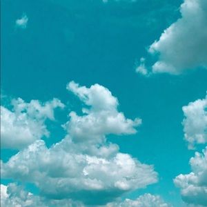 Meet your Posher, Lily